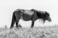 untitled-56