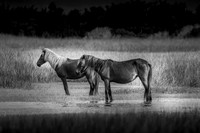 shotsbysheridan-34
