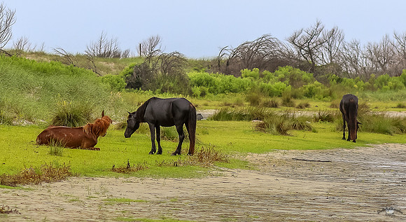 sdkshacklefordbanks-35