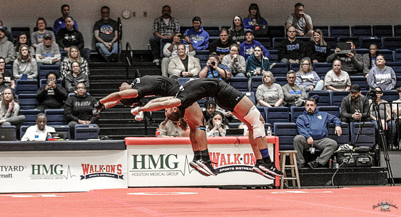 SDK-208
