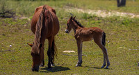 sdkshacklefordbanks-57
