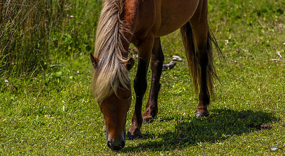 sdkshacklefordbanks-96