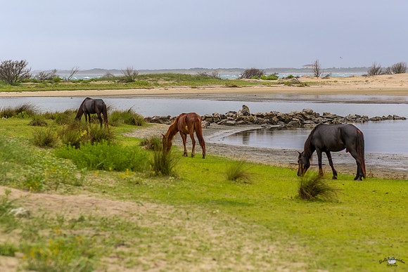 sdkshacklefordbanks-36