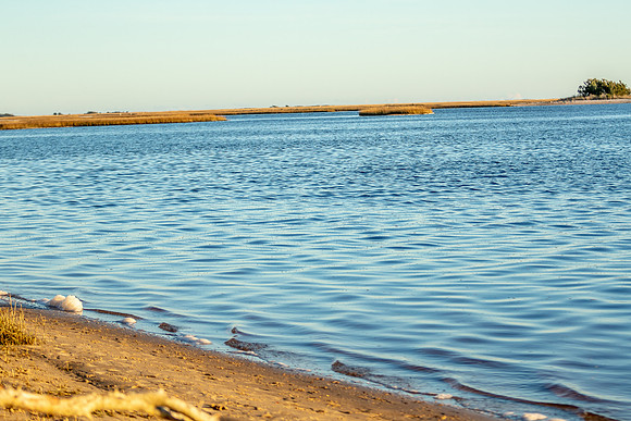 HAMMOCKBEACH-50