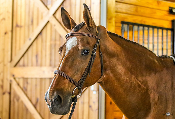 Sprout62019-187
