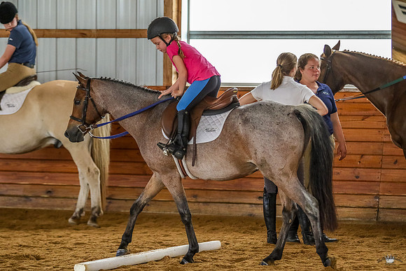 Sprout62019-472