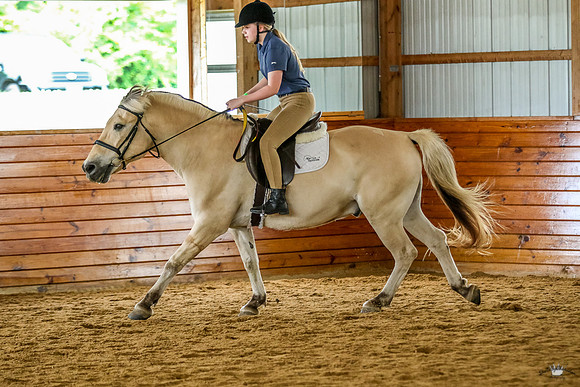 Sprout62019-475