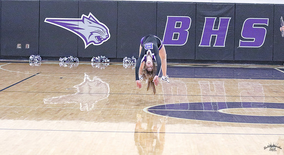 BHSBB20-28