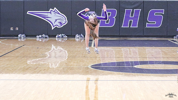 BHSBB20-29