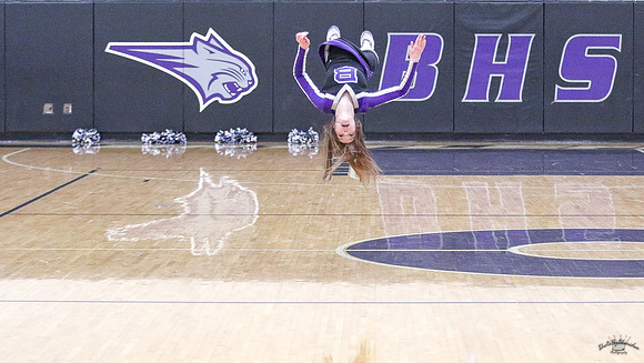 BHSBB20-30