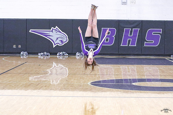 BHSBB20-31