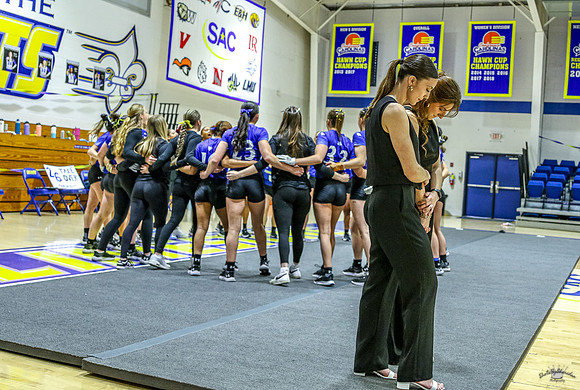 SDK-223