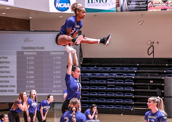 SDK-246