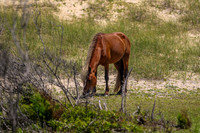 sdkshacklefordbanks-51