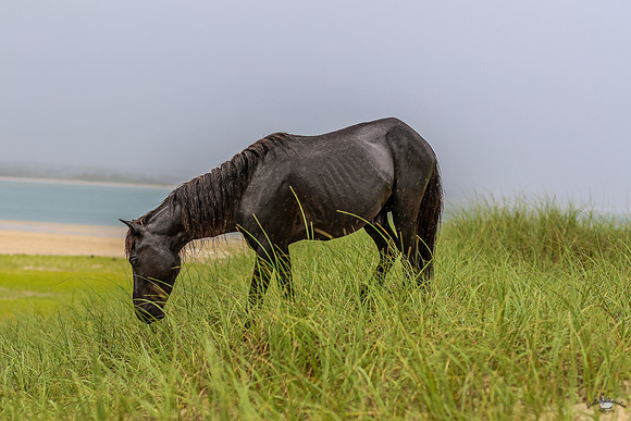 sdkshacklefordbanks-26