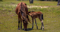 sdkshacklefordbanks-56