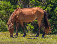 sdkshacklefordbanks-59