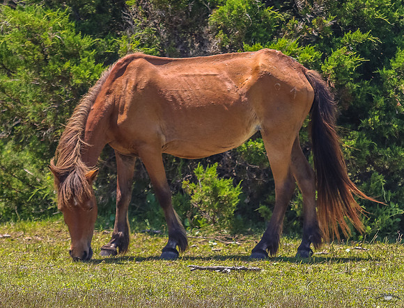 sdkshacklefordbanks-59