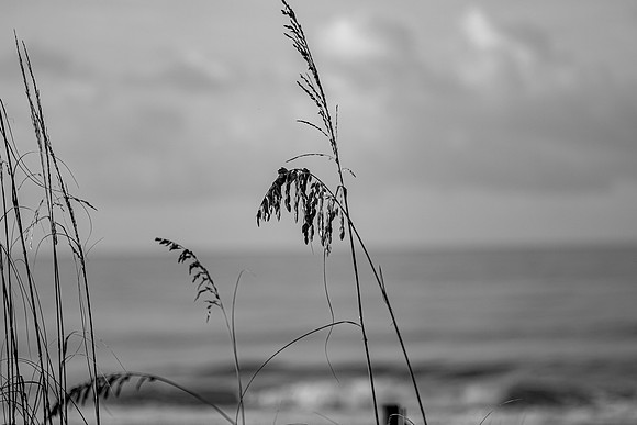 BB2021-4