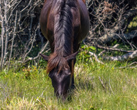 sdkshacklefordbanks-49