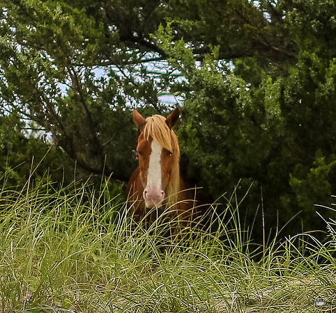 sdkshacklefordbanks-11