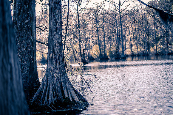 Nature-1